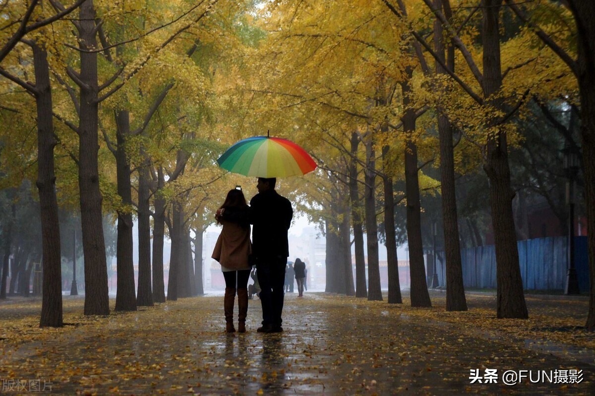 如何拍出好看的雨景照片,怎么拍下雨的雨景照片好看
