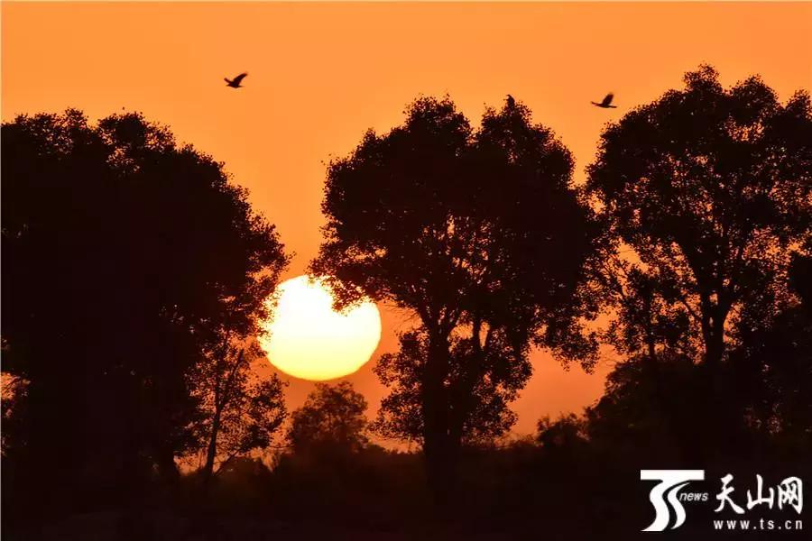 给你11个“十一”来*疆新**的理由