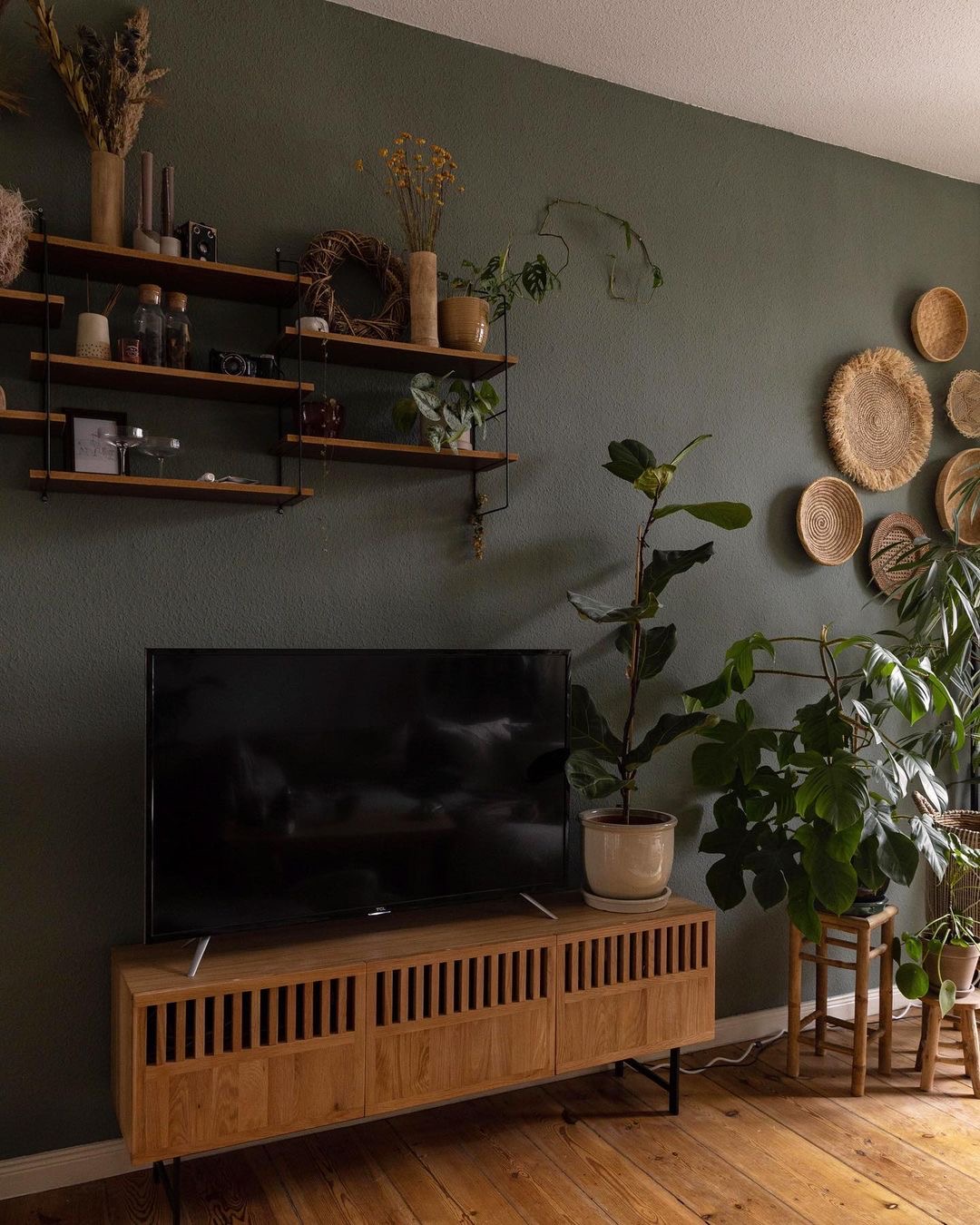 住森林里的体验,住在3200亩森林里是一种什么体验