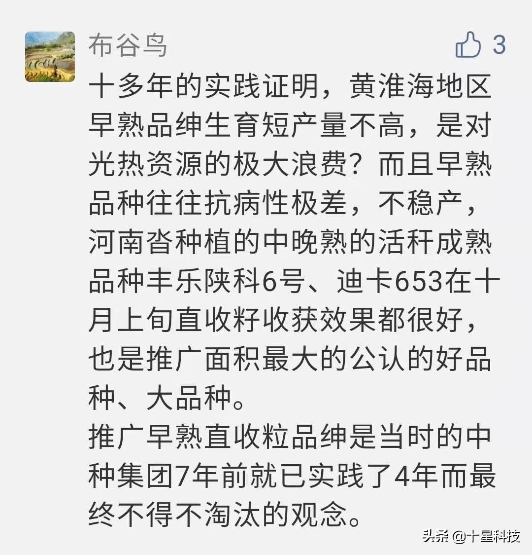 黄淮海夏玉米种排名,黄淮海玉米品种排名哪个好