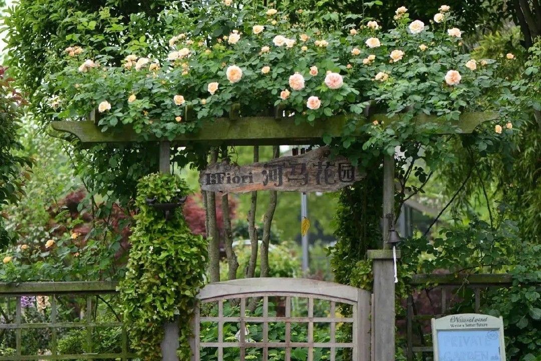 造园记养花人的必经之路,养花的院子怎么建造