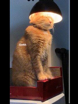 开心图文高清图片,开心图文原创