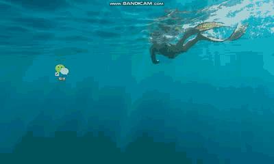 电脑小技巧——如何实现微信多开(附操作动画和视频)