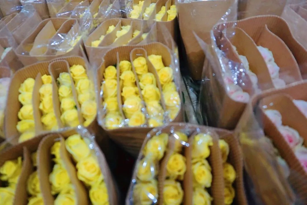 哪里鲜花最多最便宜,苏州市最大鲜花批发市场