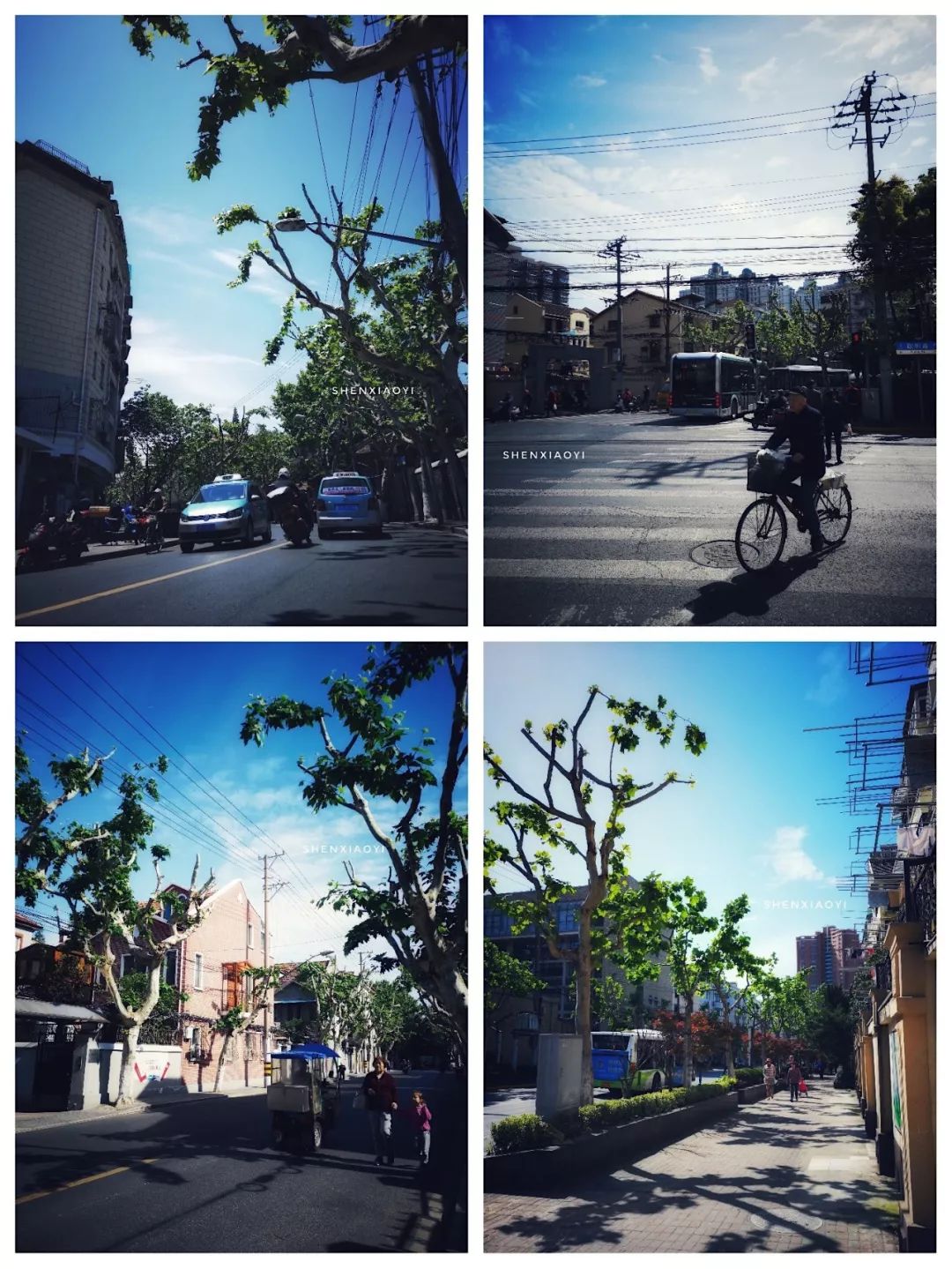 一上午走了1万步，探访5家人气爆棚的小店，不但吃撑还差点被人打