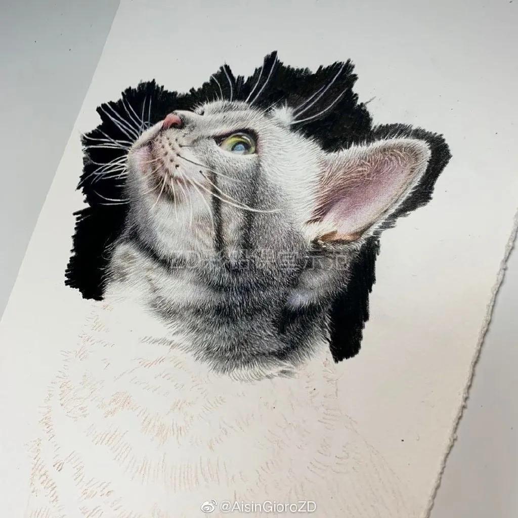 90后小伙用笔画画,九零后小伙靠画肖像漫画走红网络