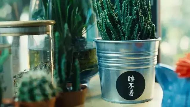 不想和男朋友的朋友合租,不想男朋友和别人合租