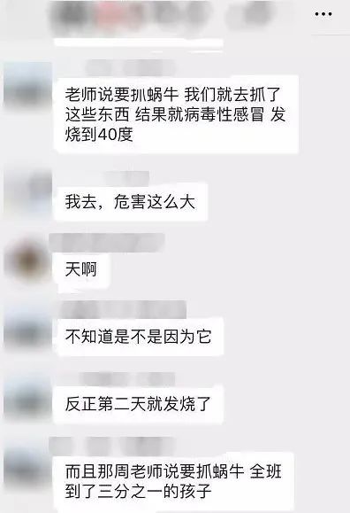 广州近期出现的变异蜗牛,深圳雨后巨型蜗牛