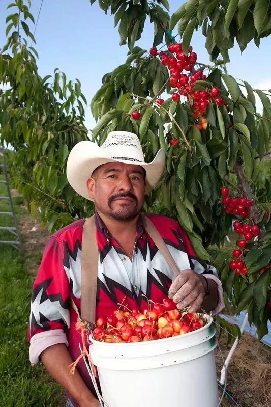 长春生鲜冷链配送,长春蔬果生鲜配送新鲜直达