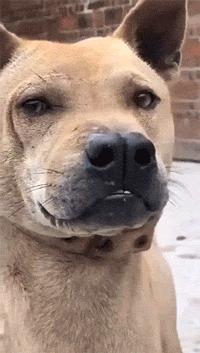 滑稽gif图,鞋子搞笑gif