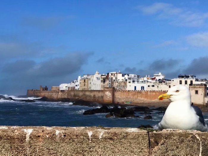去摩洛哥自由行攻略,摩洛哥游玩自由行攻略