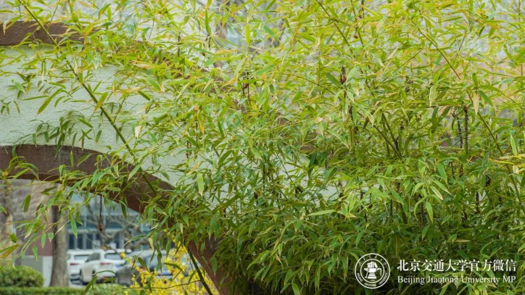 多少分可以上个好大学,多少分能上美校