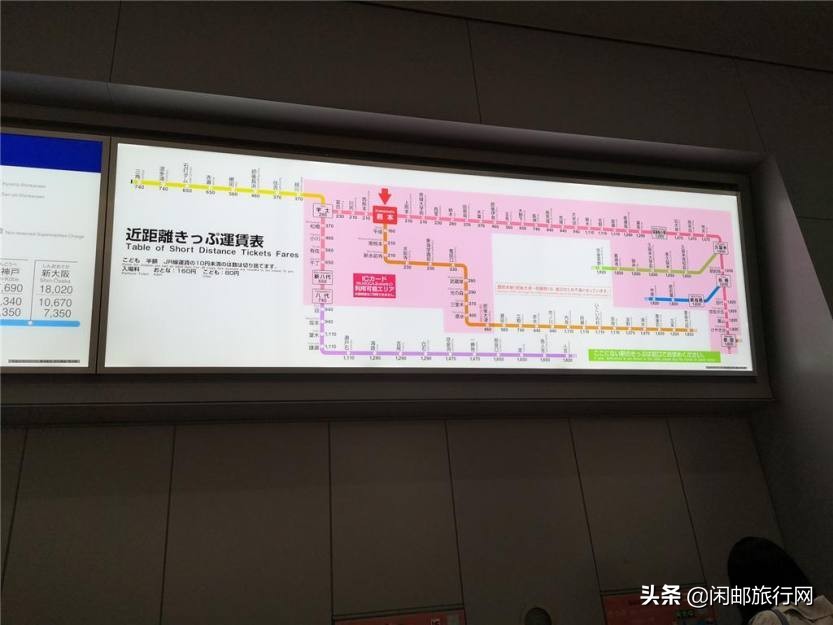 海洋量子号邮轮游记,海洋量子号邮轮冲绳旅游