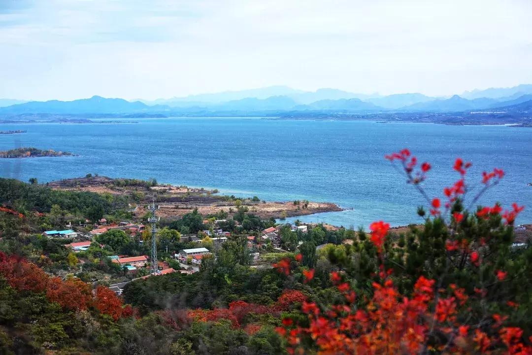 北京露营适合带孩子去的地方,北京亲子游必打卡的地方有哪些