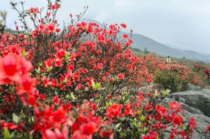 云浮_4月19日天露山的临死体验与明年一定再来