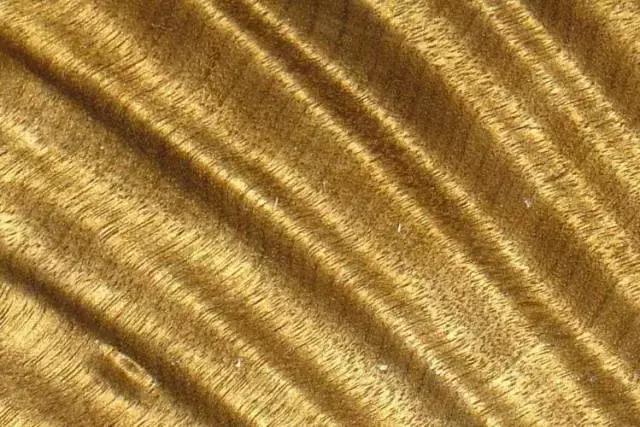 珍藏50年金丝楠现场开料，切出薄如纱的一块，众人瞬间沸腾！