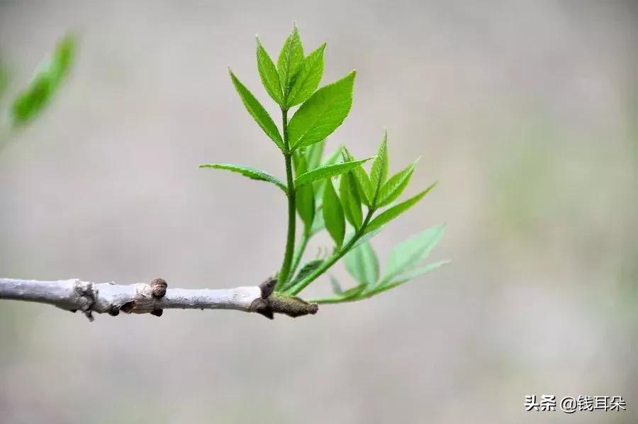 上市公司买理财产品爆雷了怎么办,理财产品有风险投资需谨慎