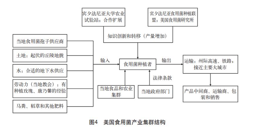 现代农业产业园示范基地,现代农业蔬菜水果种植示范基地