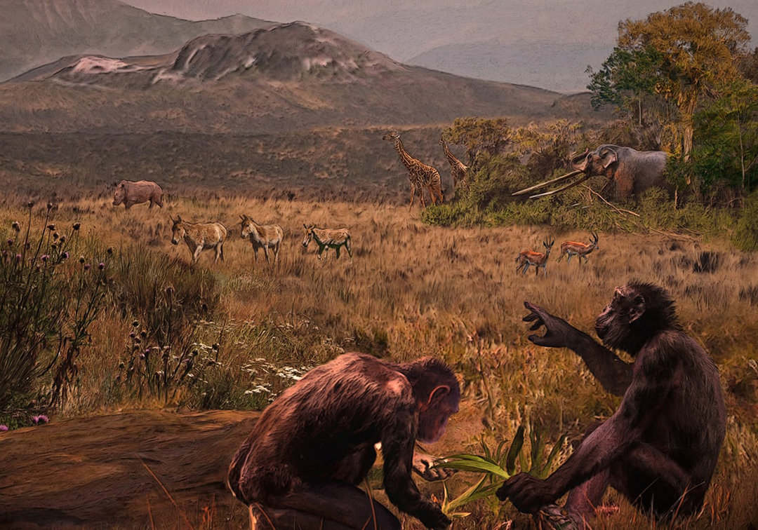 中国人的祖先是龙人吗,龙人是中国人祖先吗