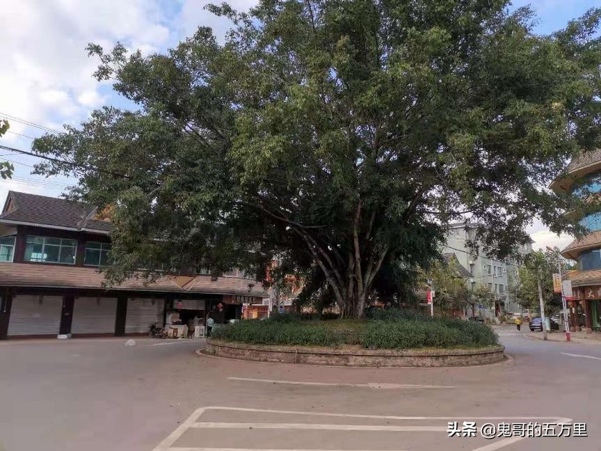 鬼哥的五万里D108骑记：给回族商人点赞（曼腊乡-整董镇）