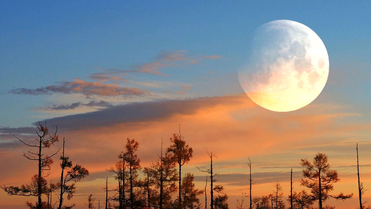 最美望月七绝现代诗词,清风望月诗句大全