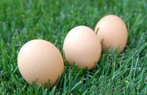 白醋泡鸡蛋鸡蛋为什么会变透明,白醋泡鸡蛋可以使鸡蛋变弹吗