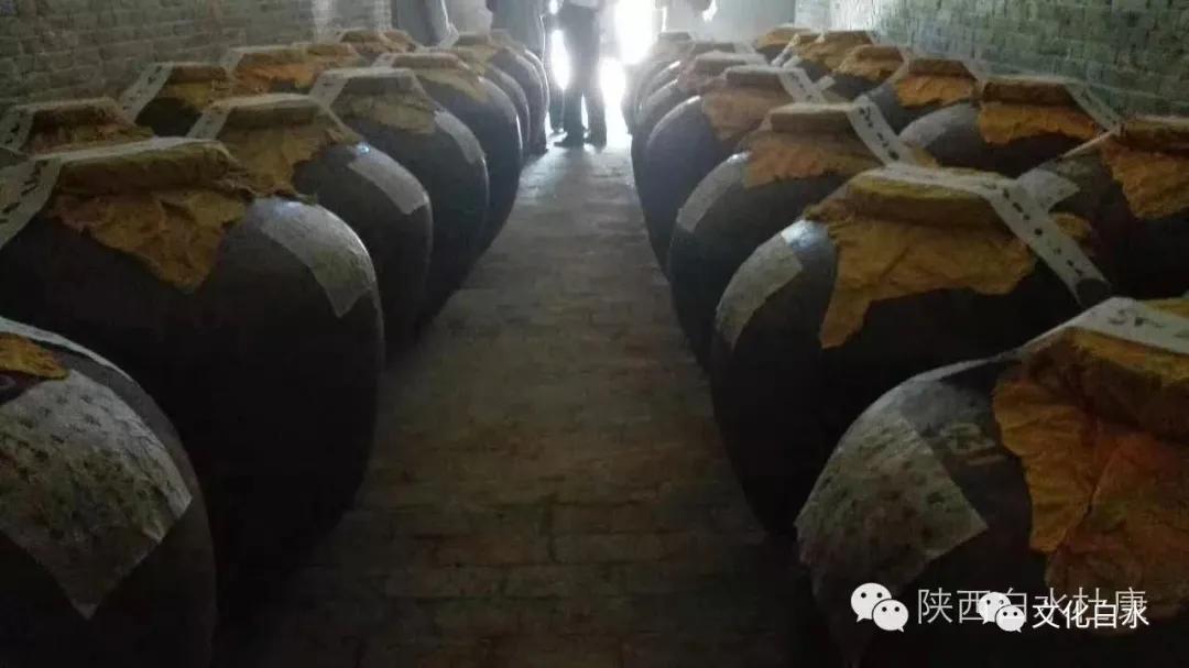 五一来赤水,五一三门峡一日游最佳攻略