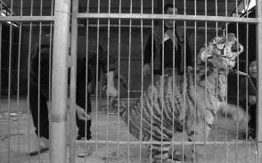 被已婚男欺骗致怀孕一尸两命,女孩儿被骗怀孕最后被杀害