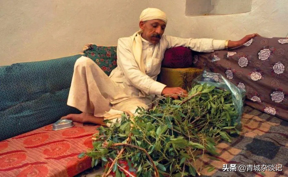 国家要对槟榔出手了吗,禁广令下槟榔产业何去何从