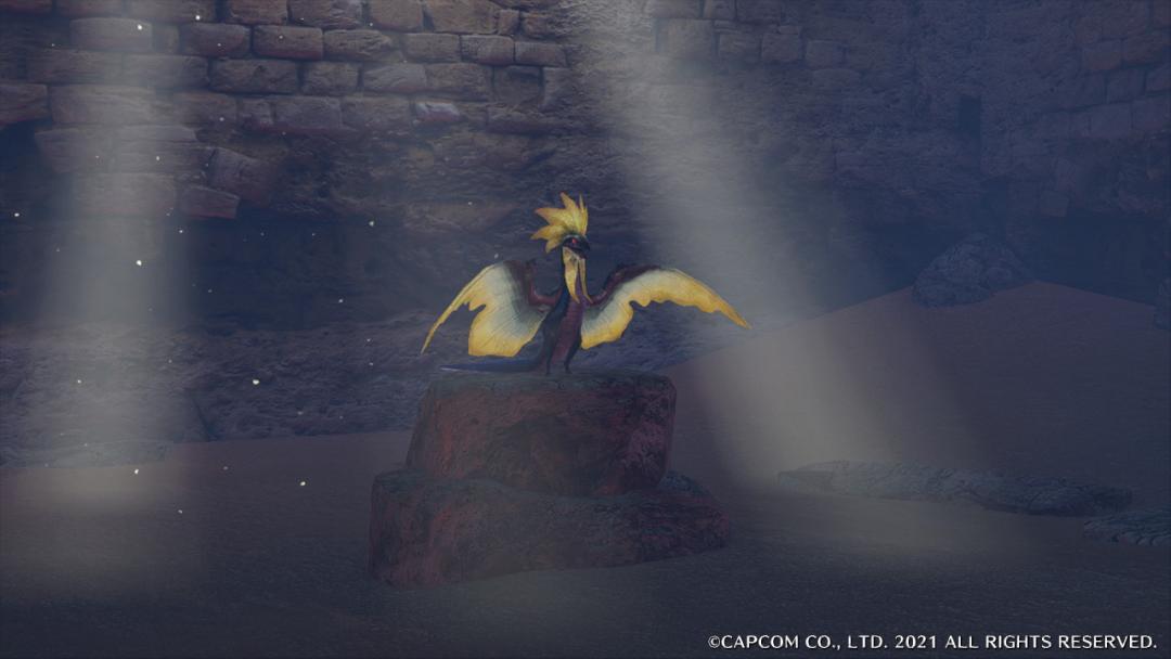 怪猎崛起艾露猫支援类型选什么好,怪猎冷知识