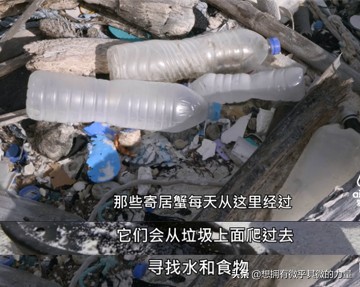 人生奇遇真实故事,人生奇遇真实视频