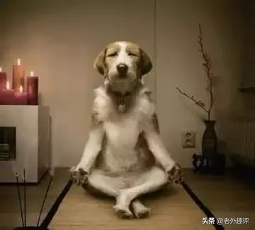 中国有电灯吗外国人评论,外国人问中国有电灯吗