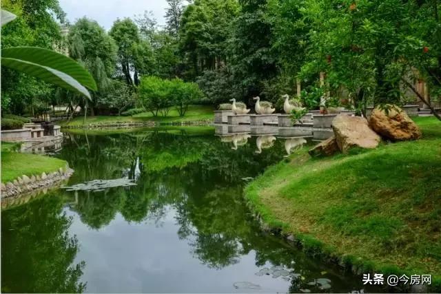 中国生态宜居后花园—北海！候鸟族眼中的“人居天堂”