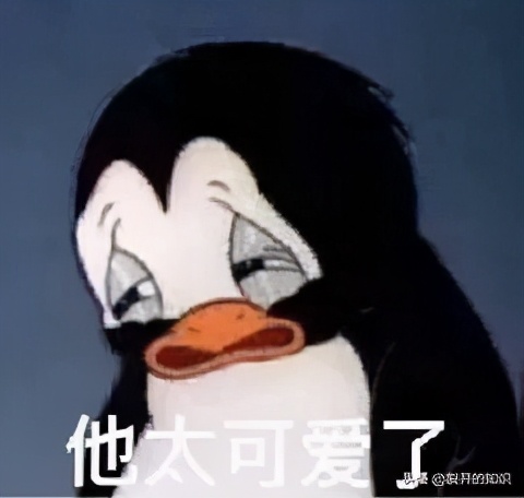 总想去虐狗是怎么回事,总是想蹂躏小猫咪怎么办