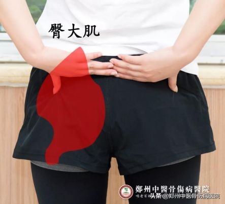 臀大肌疼痛会引起腰酸疼吗,久坐臀大肌疼痛怎么回事