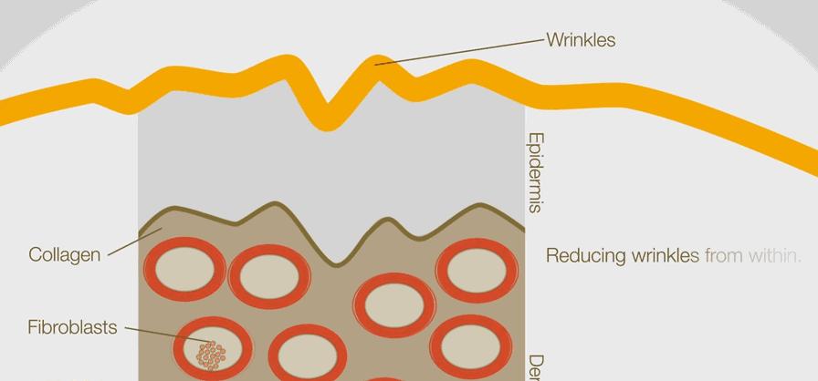 刘亦菲早期仙气照,刘亦菲仙姿玉色美到窒息