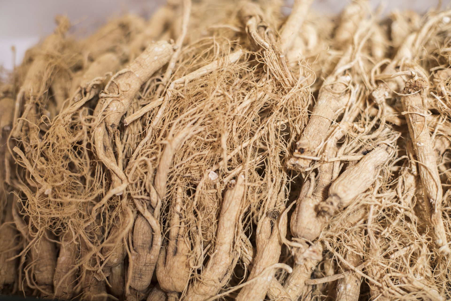 吉林旅游城市大全介绍,吉林省简介及地图