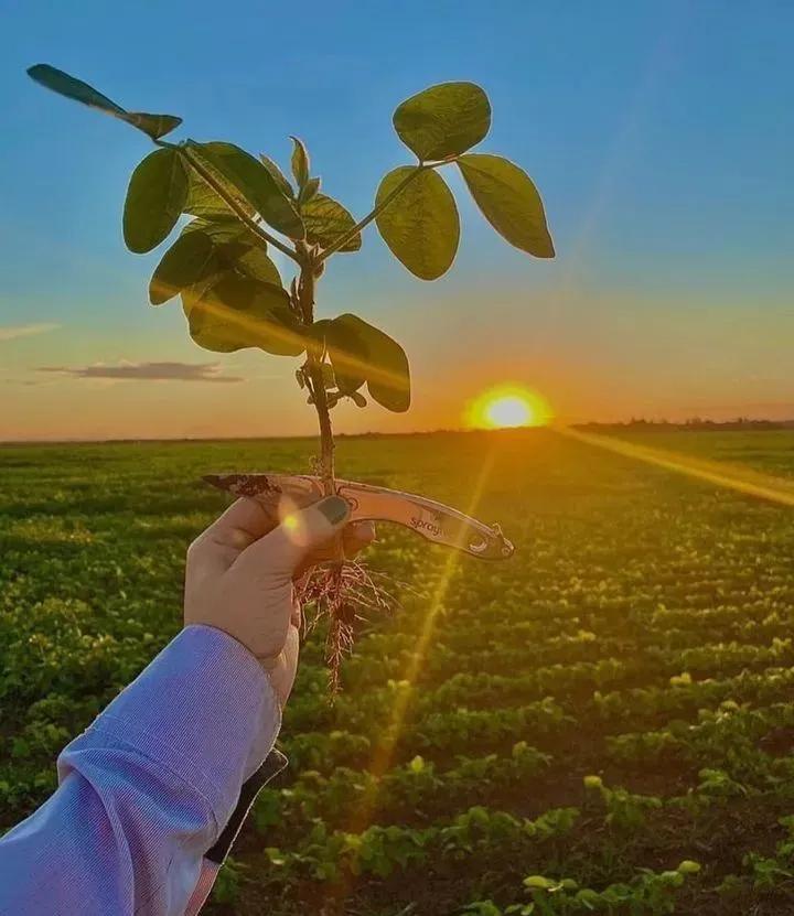 用钱去做农业会怎样,去农村搞种植业投资怎样做最好