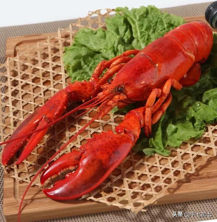 海鲜大礼包简介,什么是海鲜大礼包