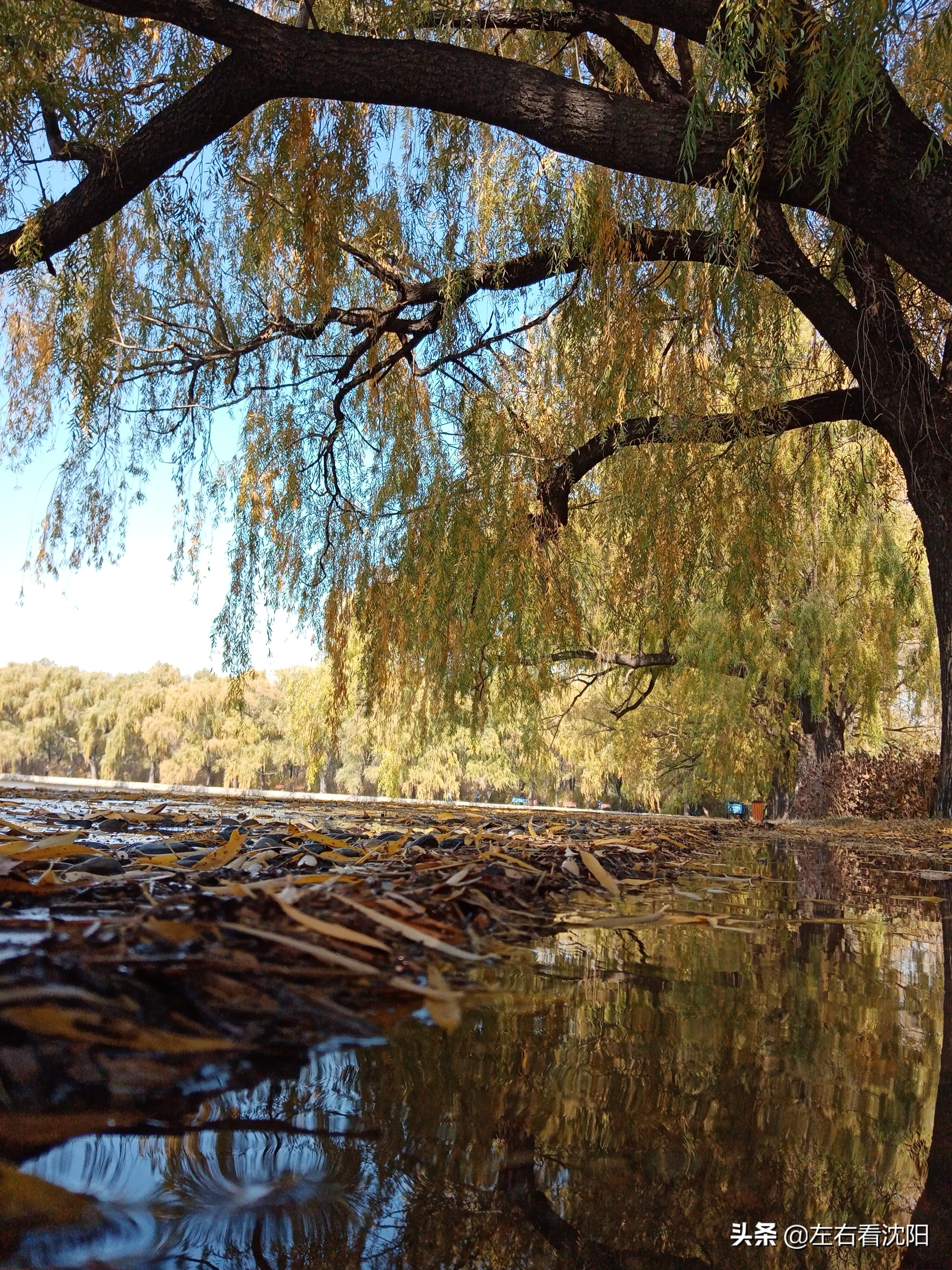 秋季沈阳北陵公园有啥好玩的,漫步沈阳北陵公园湖水边