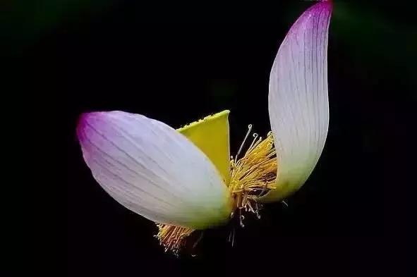 公文的一二三四级标题,公文标题应该注意的问题