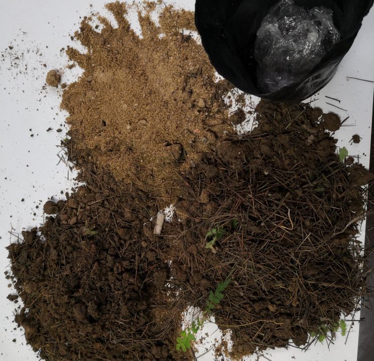 绿萝水培插扦方法,绿萝扦插的正确方法