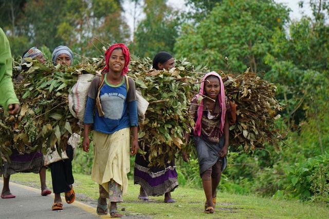 如果你做好了去冒险的准备，那么来非洲一趟吧，我在非洲等你来