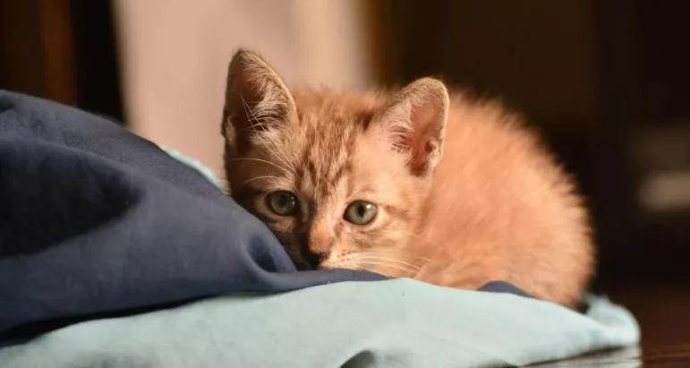 友情的尽头是孤独,一段渐行渐远的友情