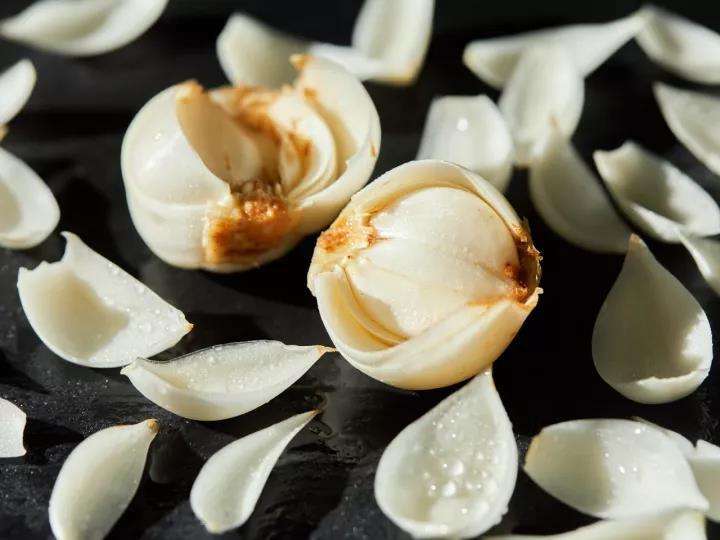 百合病害能治好吗,百合十种病害防治