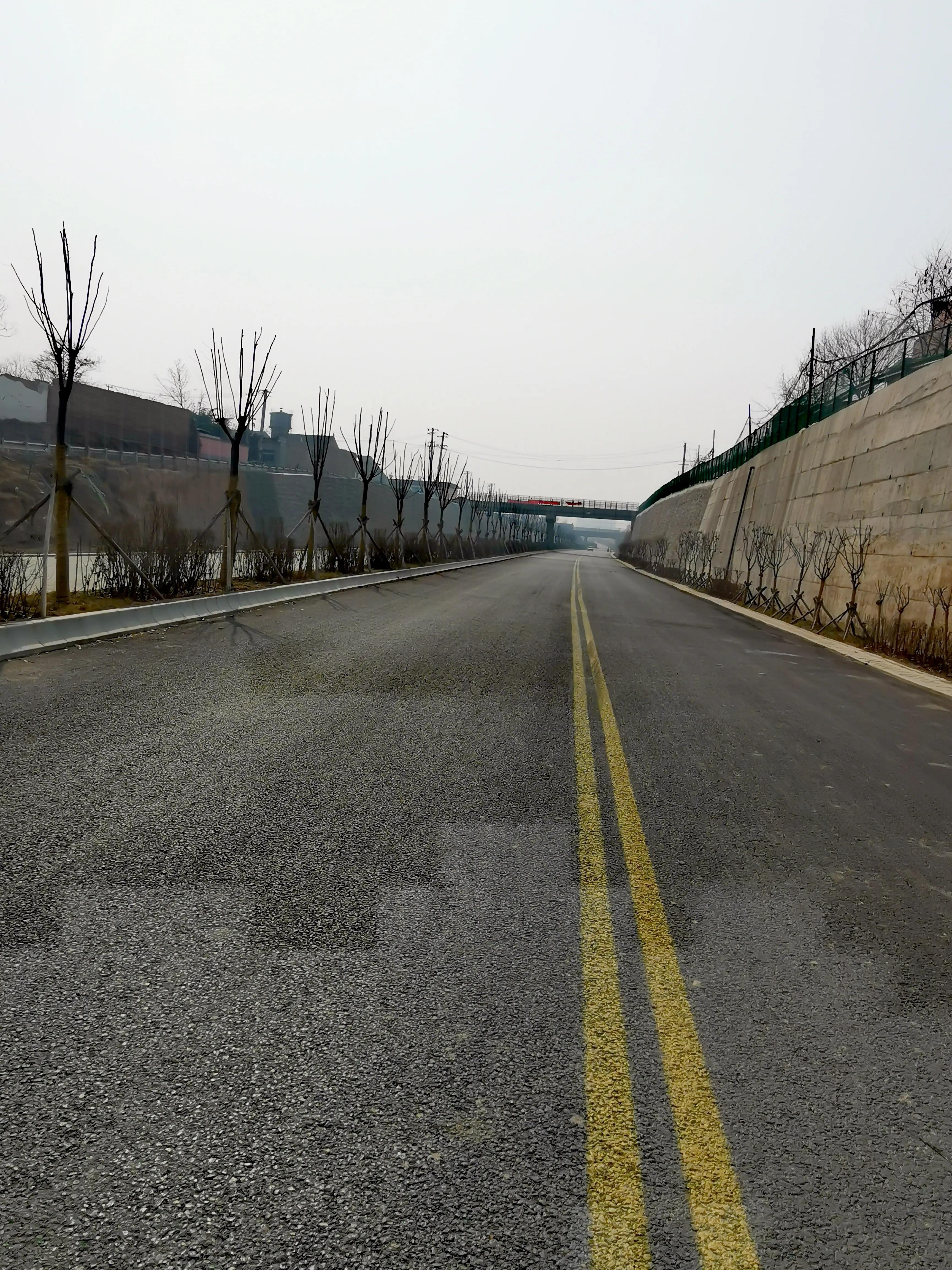 大年初一逛栎阳湖湿地公园，柳色遥看近吐绿，春归石川河！