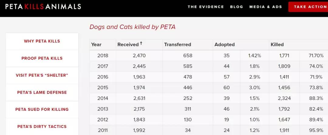 女权，LGBT，黑人，政治正确的江湖中，谁才是王者？