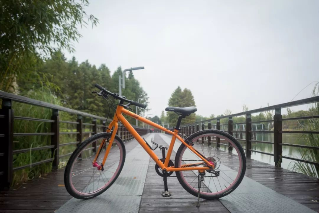 阳澄湖大闸蟹真正吃蟹的季节到了,阳澄湖吃大闸蟹最好的季节
