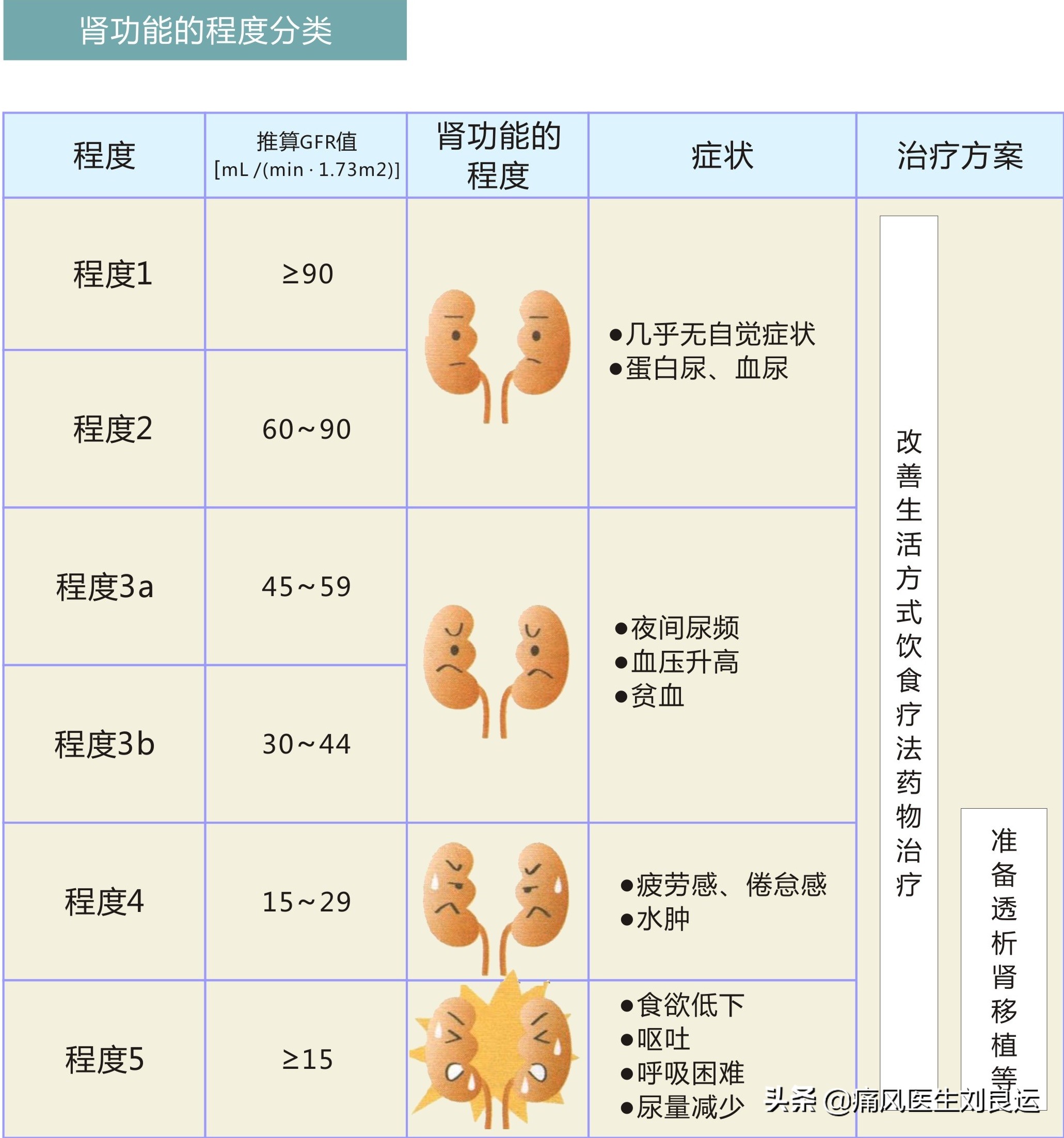 痛风引起的肌酐升高113可以恢复吗,肌酐尿酸偏高的原因和解决方法