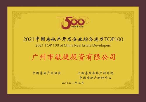 敏捷地产2010年开发哪些项目,敏捷地产公司现状